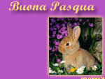Cartoline di Pasqua