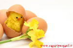 Immagini Pasqua