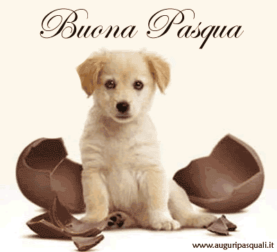 Immagine Buona Pasqua
