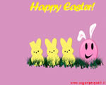 Sfondi Pasqua